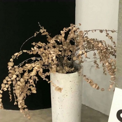 Furry插画光影技巧Furry群